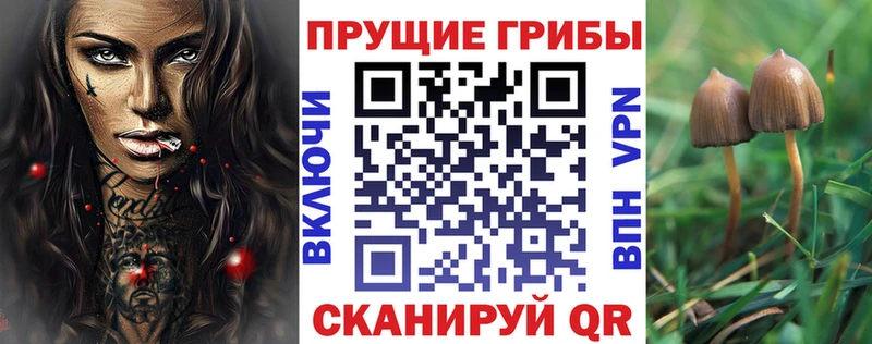 Купить закладки  Богданович  Галлюциногенные грибы Cubensis 